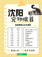 沈阳宠物丧葬：如何让爱与记忆永不消失