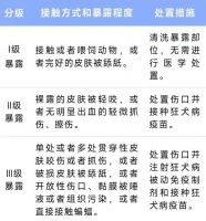 【涨知识】怎样防止被狗咬？万一被咬怎么办？ — 新京报
