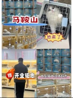 马鞍山哪里买宠物靠谱安全？这里有你想要的还能亲自挑选宠物哦