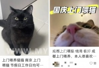 多地需求激增！一男子连接270单，其中一笔收费8100元