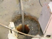 狗狗脚伤处理指南：6招急救技巧