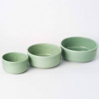 Aukatz富硒碗 保护肾脏宠物用喝水碗 3款选