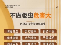 如何有效清除狗狗身上的跳蚤（选择适合狗狗的驱虫药，让跳蚤远离你的宠物）