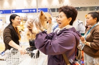 宠物产业博览会好热闹