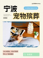 宁波宠物火化必备物品清单​