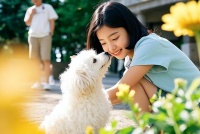 出海掘金丨北美养宠人士的购物车，暗藏大商机