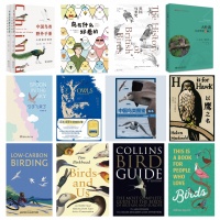 2022年度最佳鸟书 Top12