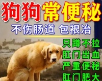 小狗消化不良拉什么屎？（了解小狗消化系统故障的迹象和处理方法）