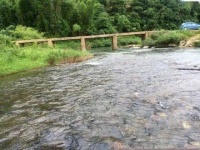 简述四大家鱼的自然繁殖与鱼类人工催产的相互机理