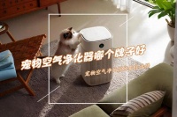 宠物空气净化器哪个牌子好?最建议买的五款净化器:解决猫毛满屋飞