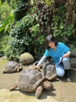 哪里有给乌龟看病的宠物医院啊（什么宠物店给乌龟看病）