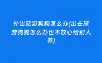 外出旅游狗狗怎么办(出去旅游狗狗怎么办也不放心给别人养) – 旅微博