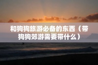 和狗狗旅游必备的东西（带狗狗郊游需要带什么）
