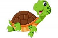 乌龟放在家里什么地方招财