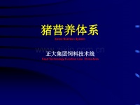猪营养体系.ppt