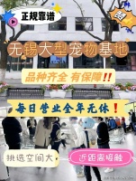 无锡哪家宠物店有卖雪纳瑞犬？无锡这家宠物店买雪纳瑞犬选择性多