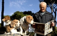 老人家宠物狗怎么养好呢