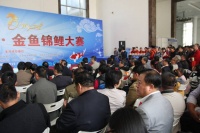 2014北京·金鱼锦鲤大赛在中国农业展览馆举办
