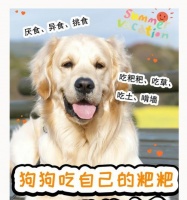 狗的最佳进食时间（优化你宠物狗的饮食习惯）