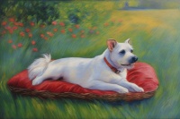 宠物狂犬病的 “隐形威胁”：这些细节最容易被忽略