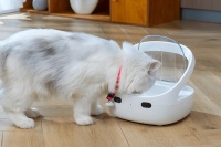 颠覆传统！RFID技术引领宠物智能设备新时代！