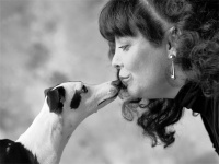 寄养幼犬哪家好