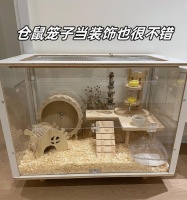 仓鼠饲养经验指南（八大禁忌，新手养仓鼠必看！）宠物屋