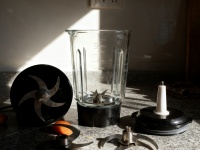 别再交智商税了！用辅食机做自制猫饭的3大坑，我替你踩过了