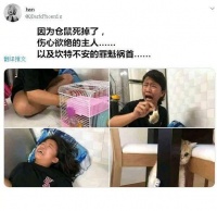 胖猫将仓鼠害死女主哭得撕心裂肺，福尔摩斯网友：无辜的小脸不像是“凶手”！