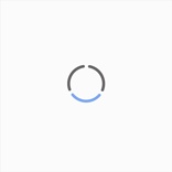 2025年宠物航空箱品牌排行榜