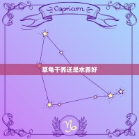 草龟干养还是水养好，养乌龟干养好还是水养好？