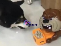 宠物用品无人闪电仓创业，安徽中态科技极具竞争力