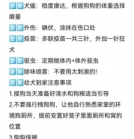 狗狗健康饲养方式曝光！（以8种危害狗狗健康的饲养方式，你还在这样喂狗吗？）