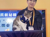 『新华社』“宠”出来的商机