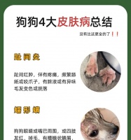 狗狗的皮肤病大揭秘（常见六种皮肤病症状及治疗方法）