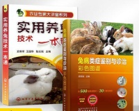 兔子传染病大揭秘（了解兔子传染病，让你的宠物更健康）