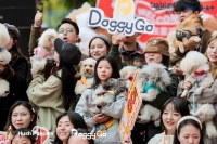 宠物经济热潮下，DoggyGo再度携暇步士宠友星派对落地成都，为蓉城宠友注入新鲜活力