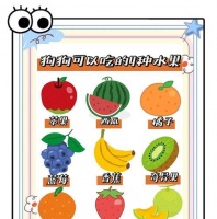 狗狗的健康饮食（拒绝“人食”，给宠物选择天然健康）