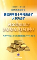 新华社权威快报丨1444.49吨！我国探明首个千吨级金矿