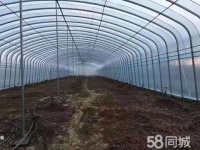 广元畜禽养殖电话