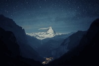 柯基犬微量元素怎么补，柯基犬微量元素怎么补充的