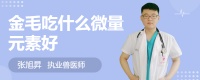 金毛吃什么微量元素好