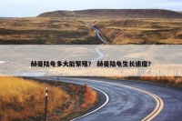 赫曼陆龟多大能繁殖？ 赫曼陆龟生长速度？