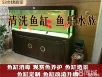 石家庄宠物配种电话