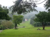 【农业规划】畜牧业在休闲赏玩时如何做体验？