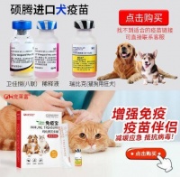 宠物健康，枇杷膏喂食指南