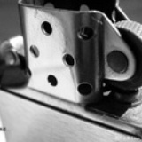 哪个宠物店有卖乌龟的