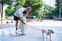 爱心启航，移动爱宠撑起流浪动物保护伞