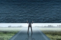 宠物活体：与萌宠互动的正确打开方式