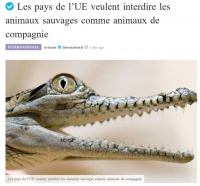 欧盟四国倡议禁止将老虎、鳄鱼等野生动物当宠物